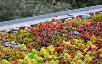 the cost of Gowkthrapple green roof installation