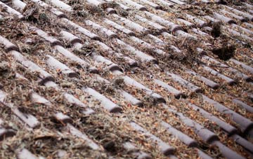 Gowkthrapple roof cleaning companies