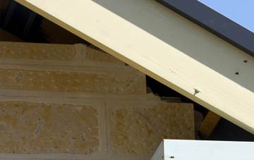 soffit repair Gowkthrapple